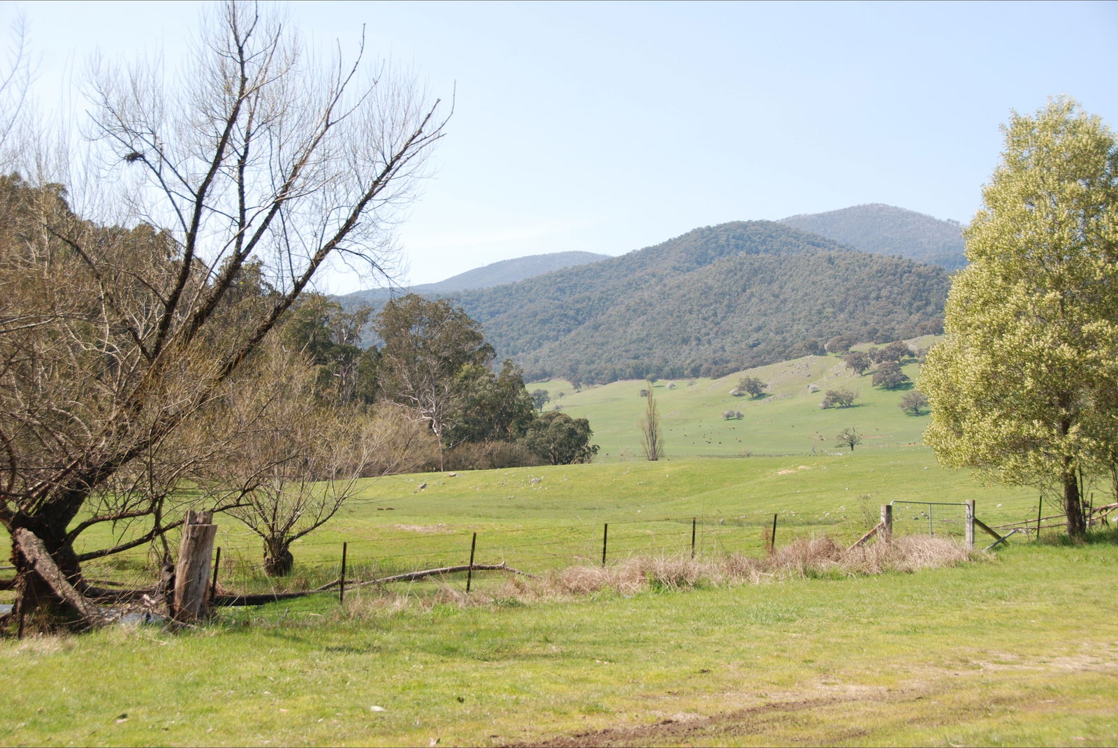 Dartmouth VIC Accommodation BNB