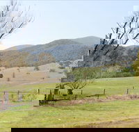 Banimboola Creek Rest Area - Accommodation BNB