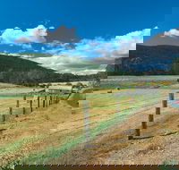 Blackwood River Tourist Drive - Accommodation BNB