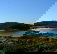 Broulee Island Nature Reserve Walk - Accommodation BNB