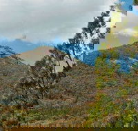 Burrowa-Pine Mountain National Park - Accommodation BNB