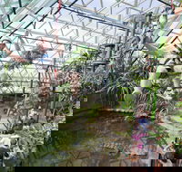 Cairns ZOOM and Wildlife Dome - Accommodation BNB