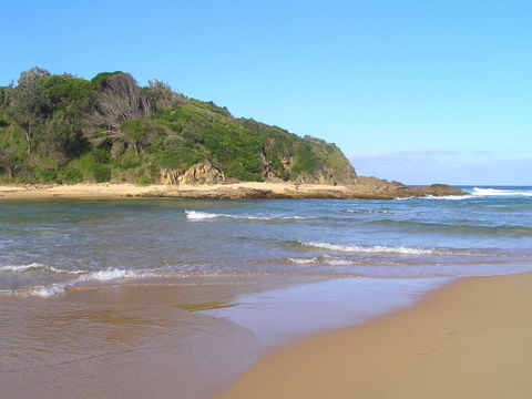 Coastal Walks - Bermagui - Accommodation BNB 2