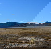 Darke Peak Scenic Drive - Accommodation BNB