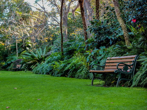 EG Waterhouse National Camellia Gardens - Accommodation BNB 0