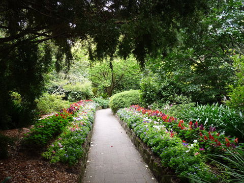 EG Waterhouse National Camellia Gardens - Accommodation BNB 1