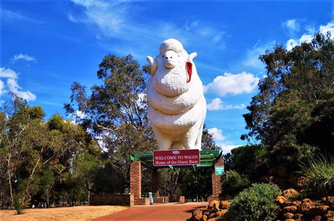 Giant Ram Park - Accommodation BNB 0