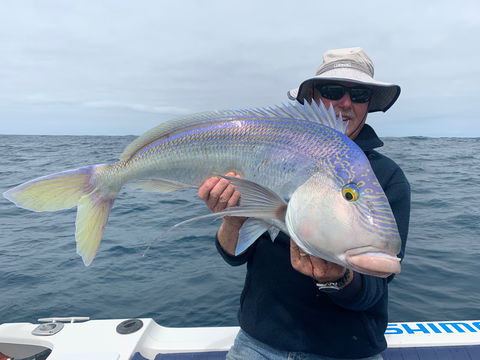 GT Fishing Charters - Accommodation BNB 1