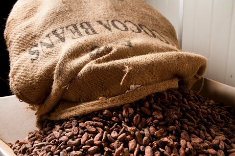 Haigh's Chocolates Visitor Centre - Accommodation BNB 2