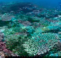 Hanging Rock Dive Site - Accommodation BNB