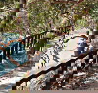 Harbour Bridge to The Spit Bridge Walking Track - Accommodation BNB