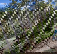 Herring Island Environmental Sculpture Park - Accommodation BNB