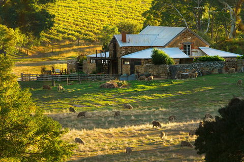 Hutton Vale Farm - Accommodation BNB 1