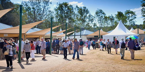 Ivory's Rock Conventions And Events - Accommodation BNB 2