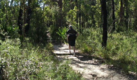 Karloo Walking Track - Accommodation BNB 0