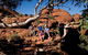 Kings Canyon - thumb 1
