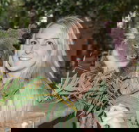 Koala Park Sanctuary - Accommodation BNB