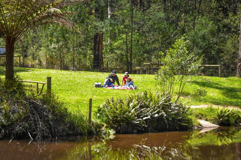 Kurth Kiln Regional Park - Accommodation BNB 1