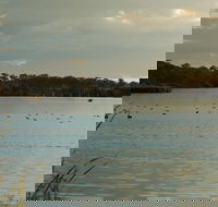 Lake Inverell Reserve - Accommodation BNB