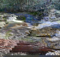 Liffey Falls Reserve - Accommodation BNB