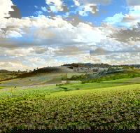 Lions Park Hodgson Vale - Accommodation BNB