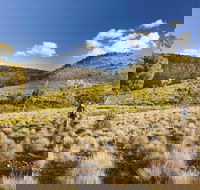 Little Mountain Walking Track - Accommodation BNB
