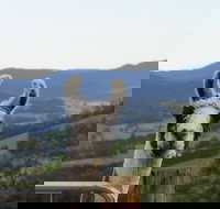 Llama Walks Tasmania - Accommodation BNB