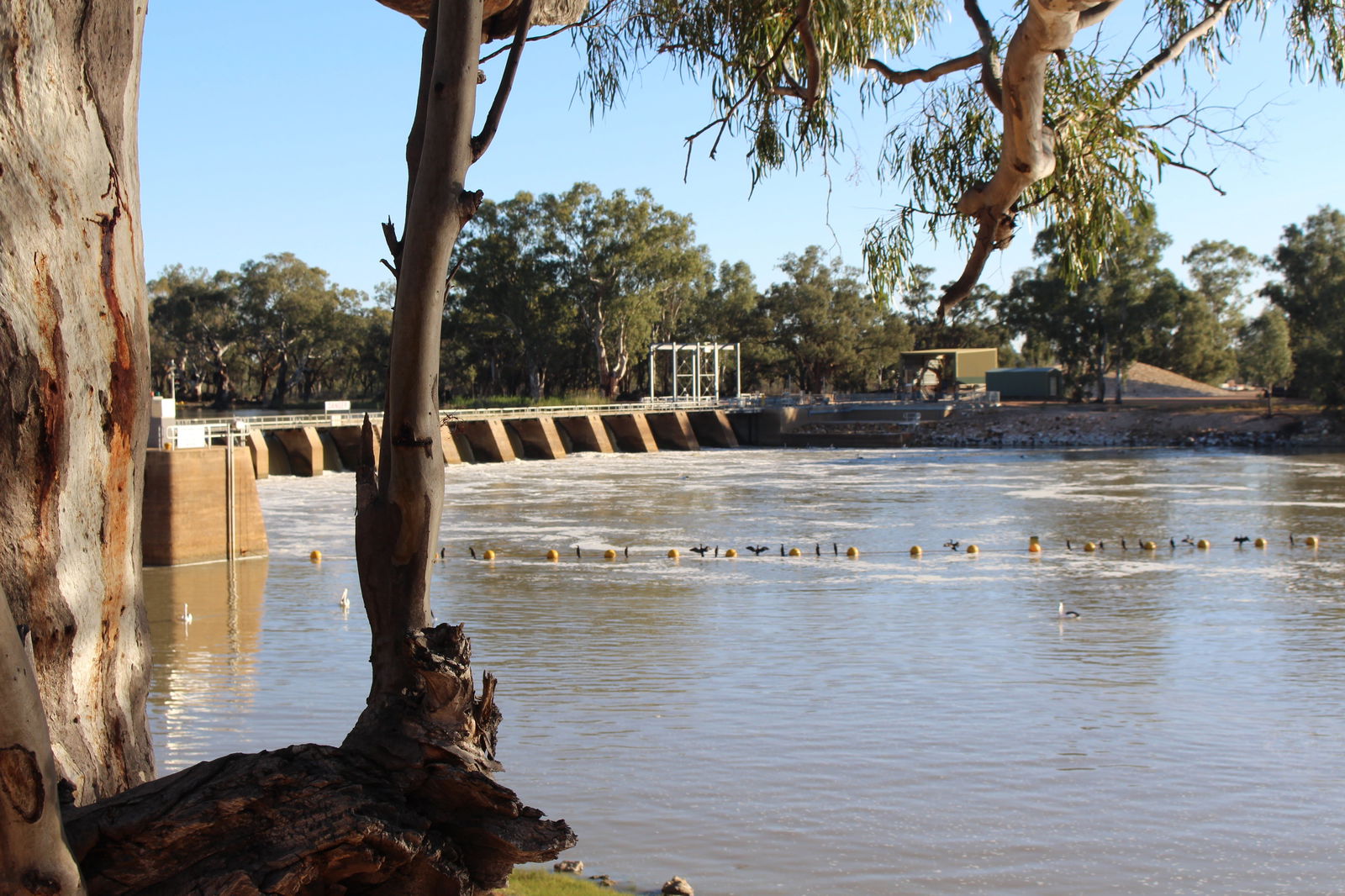 The Riverland And Murraylands SA Accommodation BNB