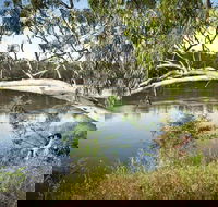Murray Valley National Park - Accommodation BNB