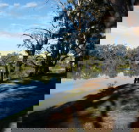 Murray River National Park - Katarapko - Accommodation BNB