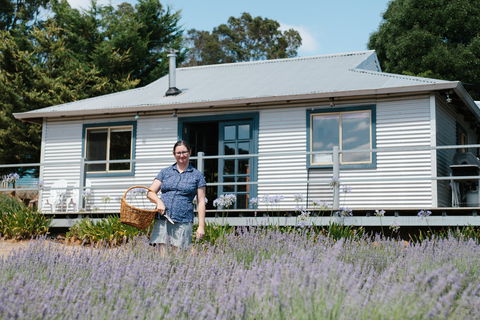 Nannup Lavender Farm - Accommodation BNB 1