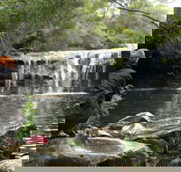 Nellies Glen Picnic Area - Accommodation BNB