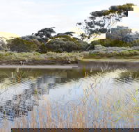 Onkaparinga River Recreation Park - Accommodation BNB