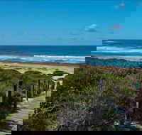 Pelican Beach Road lookout - Accommodation BNB