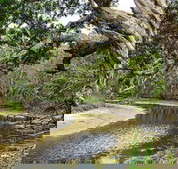Saltwater National Park - Accommodation BNB