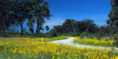 Shearer's Way - Accommodation BNB 0