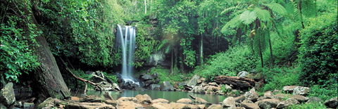 Tamborine National Park - Accommodation BNB 0
