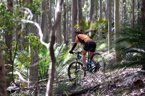 Tathra Beach - Accommodation BNB 1