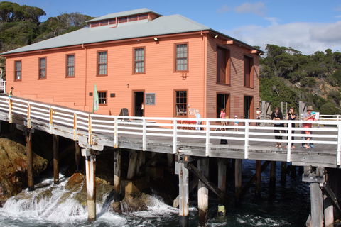 Tathra Beach - Accommodation BNB 2
