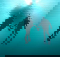 The Arches Marine Sanctuary - Accommodation BNB