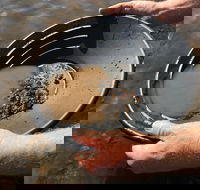 Tuena Panning for Gold - Accommodation BNB