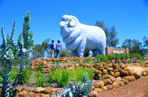 Wagin - Accommodation BNB 0