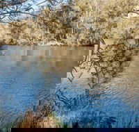 Wandandian Creek picnic area - Accommodation BNB