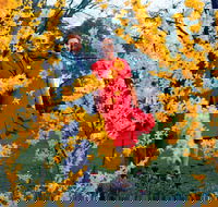 A Changing Australia The Time of Gough Whitlam - Accommodation BNB