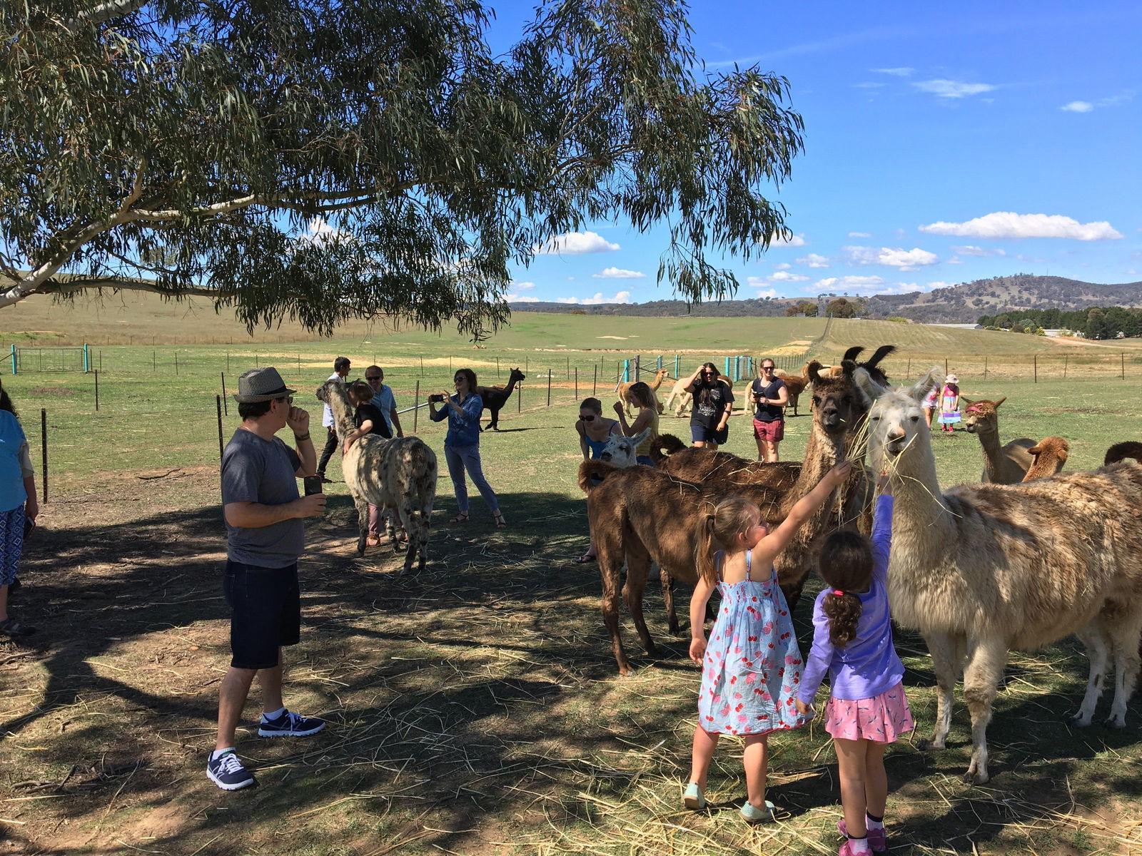 Googong NSW Accommodation BNB