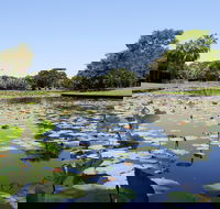 Anderson Park Botanic Gardens - Accommodation BNB
