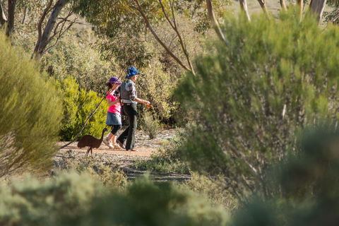 Australian Arid Lands Botanic Garden - Accommodation BNB 0