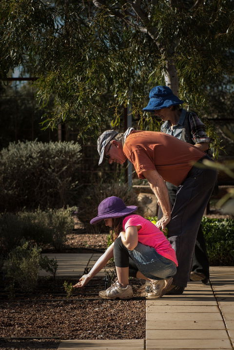 Australian Arid Lands Botanic Garden - Accommodation BNB 1