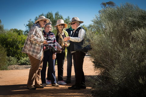 Australian Arid Lands Botanic Garden - Accommodation BNB 2