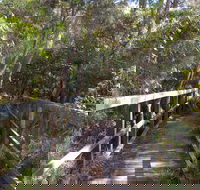 Awaba Bay Foreshore Walk - Accommodation BNB